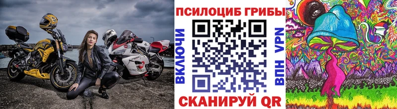 купить закладку  ОМГ ОМГ ССЫЛКА  Галлюциногенные грибы мицелий  Красновишерск 